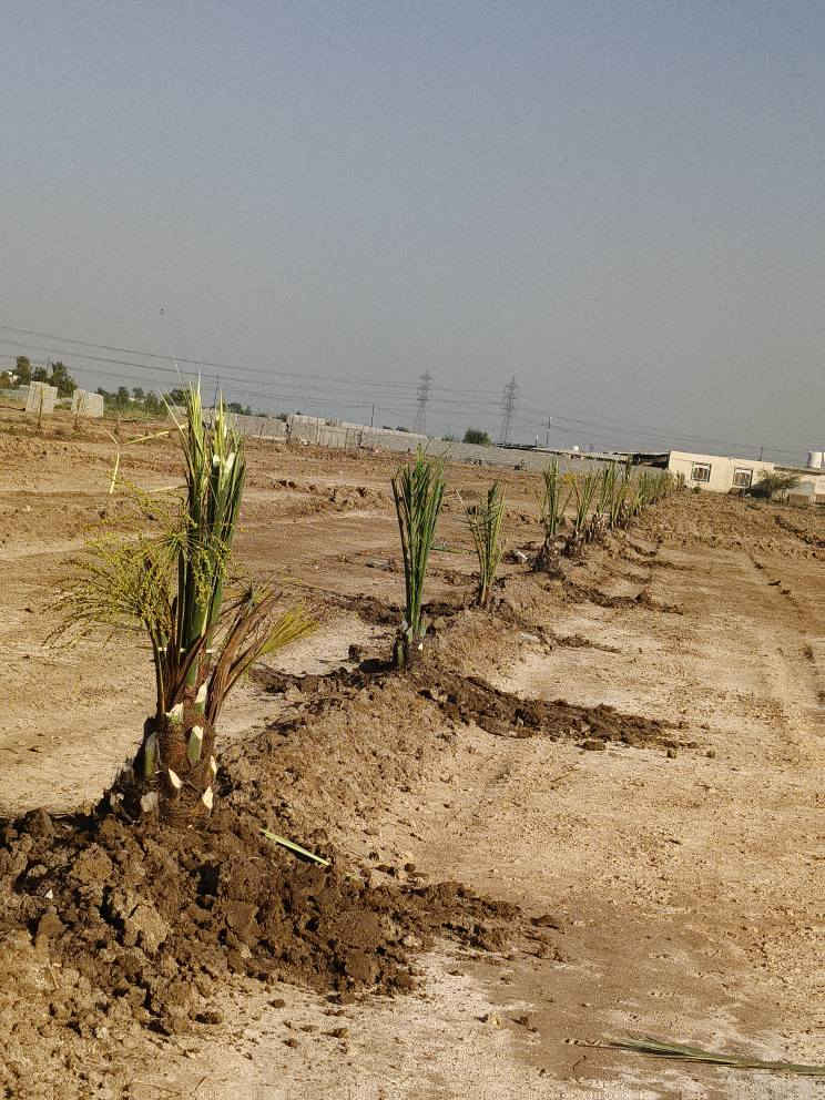 متاح فسائل حجام كبار وحمالات 
زهدي تبرزل خستاوي خضاروي مندلي المكان بغداد المعامل سياحي *********** بغداد, العراق
