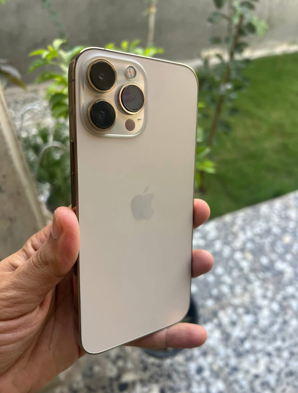 ايفون 13 برو ماكس 256 بطاريه 78 نموذج m لون ذهبي جهاز كله شغال اي نقص مابي سعره 560 وبي مجال قليل 
***********
