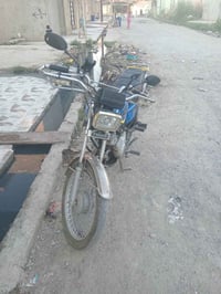 تايجر • معمرة • ٢٠٢٠