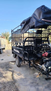 ستوته • موديل 22 • بودي كبير