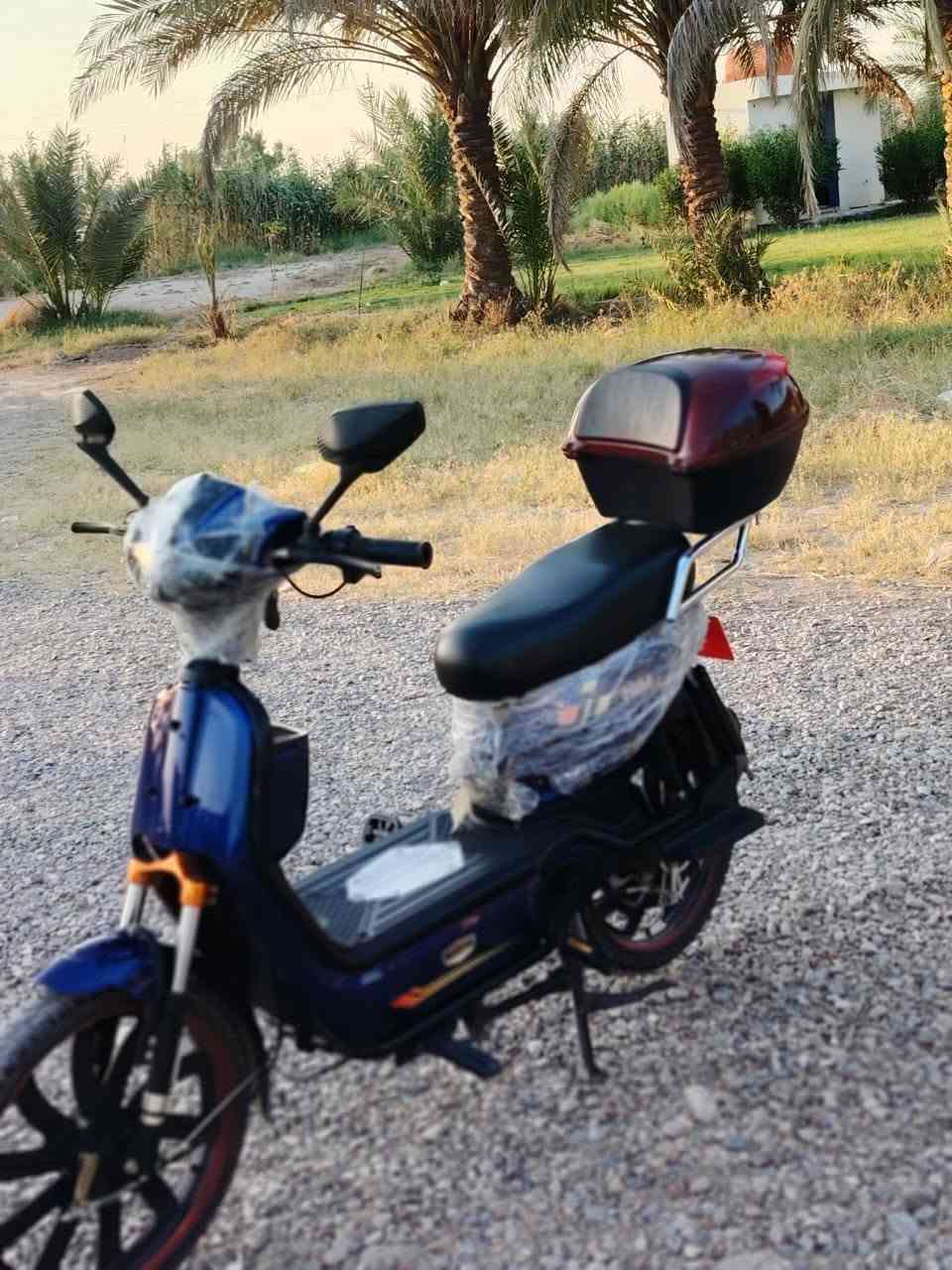 يا الله سلام عليكم للبيع بايسكل بومه شحن موديل 26 البايسكل 5 بطاريات اشاير كله شغاله السرعه 99 دراجه ملفهة 2000 الدراجه مصارلي 3 أشهر من اخذتها السعر 450 وبي مجال مكاني ديالى دلي عباس رقم الهاتف ***********
