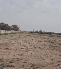 الحاوي قرب مزرعة شيخ ونس • ٣ دوانم • مسيجات