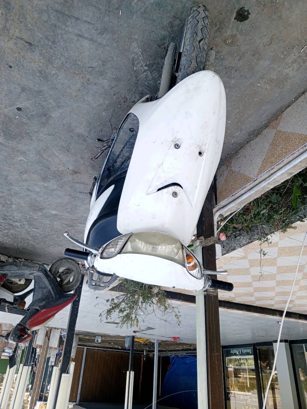 عنواني الغزالية 
دراجه عصفوري60 ربمه صوتها كلش ناعمة ومريحة وعملية تعال وتدللون