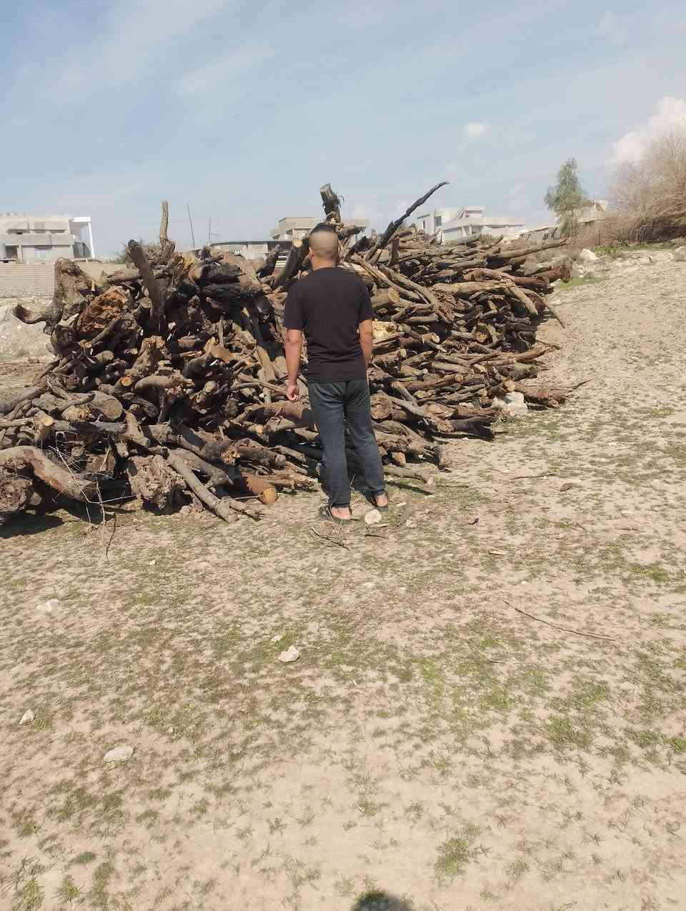 خشب للبيع طول الكوم سته متر وارتفاع مترين الي ياخذ كوم اوجبو يطلع بي ٣كيات ***********
