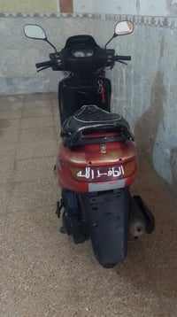 فراشة • نضيفة • سلف وهندل