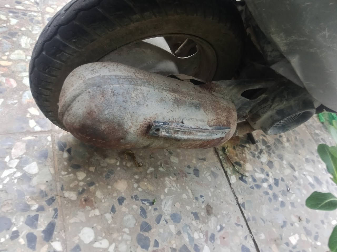 دراجه منغولي للبيع شغاله نكره اول مره تجفت يعني تجفيت جديد درجه اولا هورن لايت شغال مابيها شي خير من الله مشيه تايراته جدد السعر 225وبيه مجال قليل مكاني كربلاء كنطرت البيضة هذا رقمي ***********
