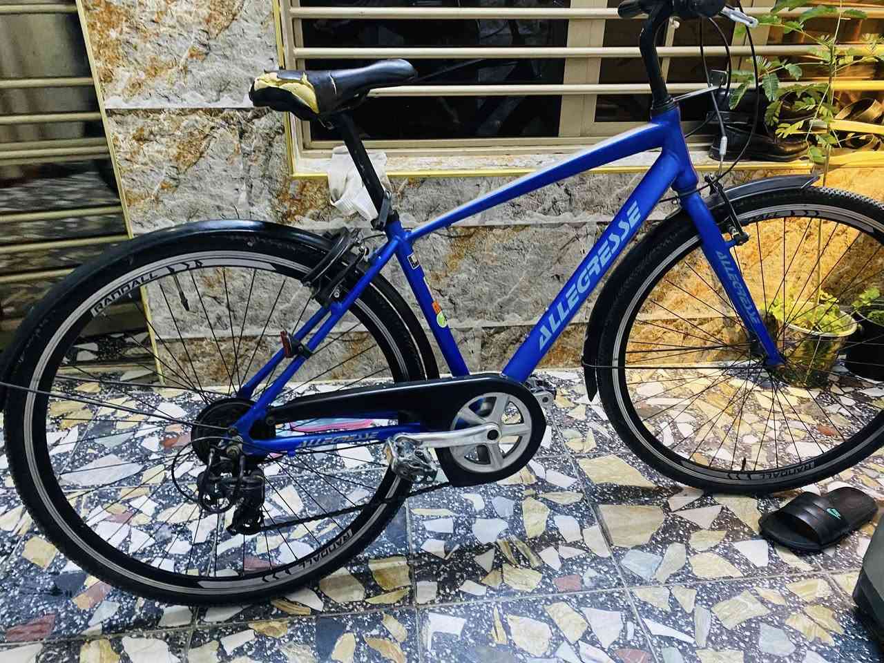 دراجة وضع حاوية كاملة من اي نقصة معدن ألمنيوم فريم مضلع حجم الإطار  700x28 كير بريكات كل شغال سستم شيمانو  السعر ١٠٠ مكاني بغداد مدينة الصدر 
اتصال 📞 (***********) 
متواجد وتساب
