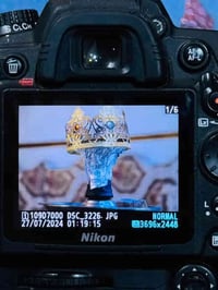 نيكون D7000 • زوم 70-300 • عدسة 18-105