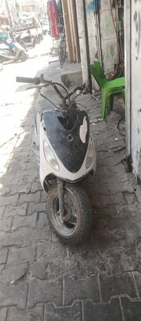 ماكس منغولي البيع معلكه ولف البيع العنوان بغدادالكريعات 07732675463