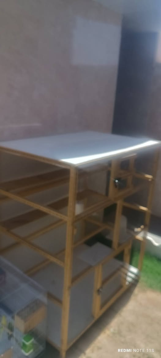السلام قفص للبيع جديد قبل يومين من جبتة سبب البيع مكان معندي  الارتفاع متر ونص في عمق ٨٥ الطول ١٢٠. خشب تقيل طبقة ٨ملم السعر ١١٠ وبي مجال ‏‪0782 949 9628‬‏
