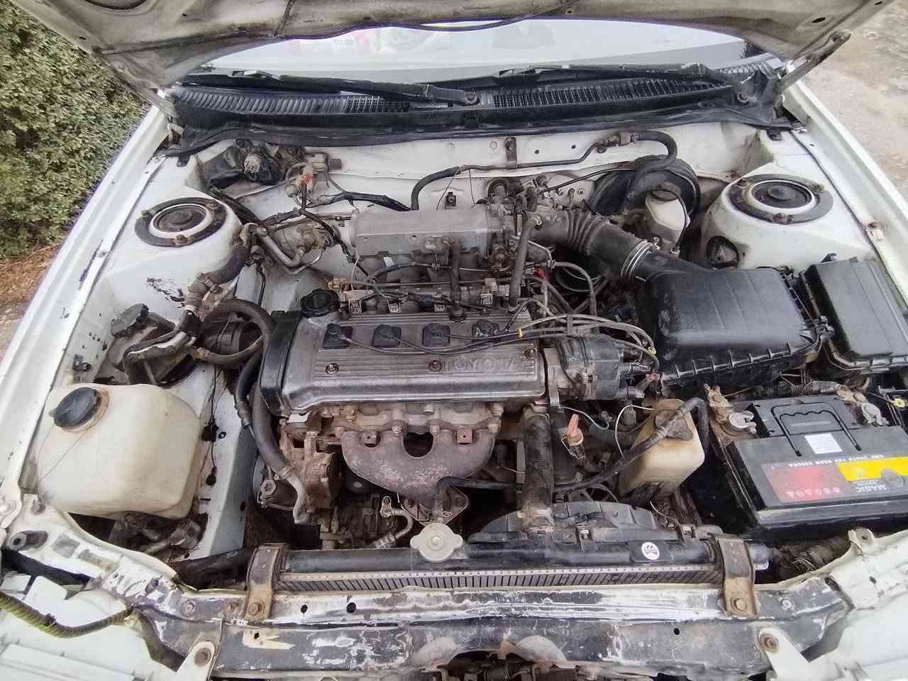 كورلا للبيع موديل ٩٣ رقم بغداد سياره خير من الله كير محرك بحاله جيده تبريد شغال عوزه بس غاز مكان السيارة واسط السعر ٥٥$ وبيه مجال للاستفسار الاتصال على الرقم ***********
