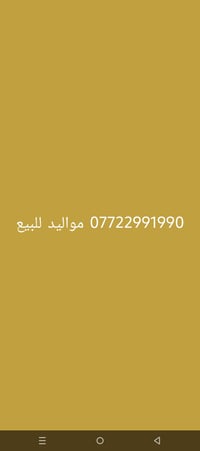 رقم مواليد • مميز • بصرة