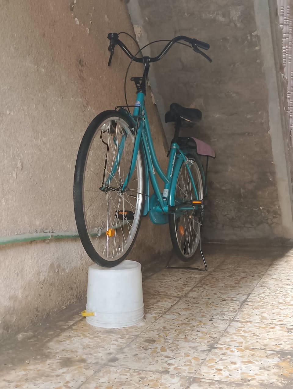 لا حبيبي والله حياتي 78. 100. 55. ***********
