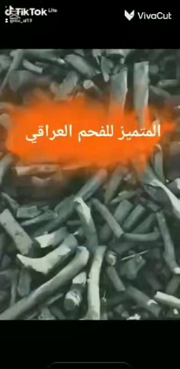 المتميز للفحم العراقي موجود لأن بالأسواق والمولات فحم عراقي طبيعي ممتاز جدا شرط للاستفسار ت ***********.فحم  اشجارحمضيات وليس سكيبات
