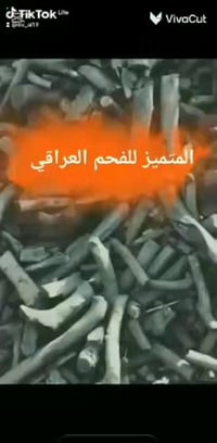 فحم عراقي • فحم أشجار حمضيات • طبيعي ممتاز