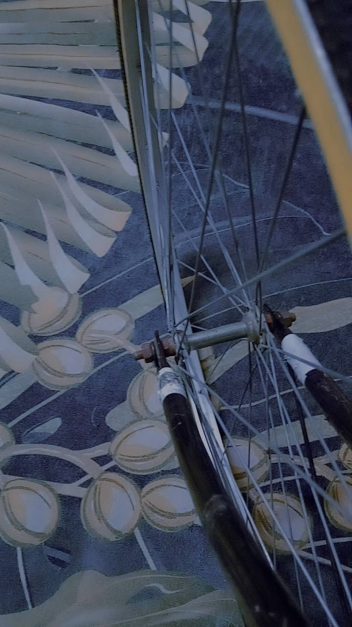 سلام عليكم بيسكل سياحي حجم 26شركه سانتوس كلشي جديد تايرات تيوبات بريك جاهز مجمبز نضافه 80بل 100 مداكر موجوده مكان بصره قبله سعر 75وبي مجال رقم ***********
