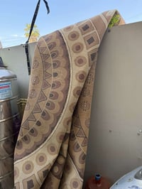 فراشات شتاي يريدهن يجي ياخذهن بلاش مكاني حي اور07727798956