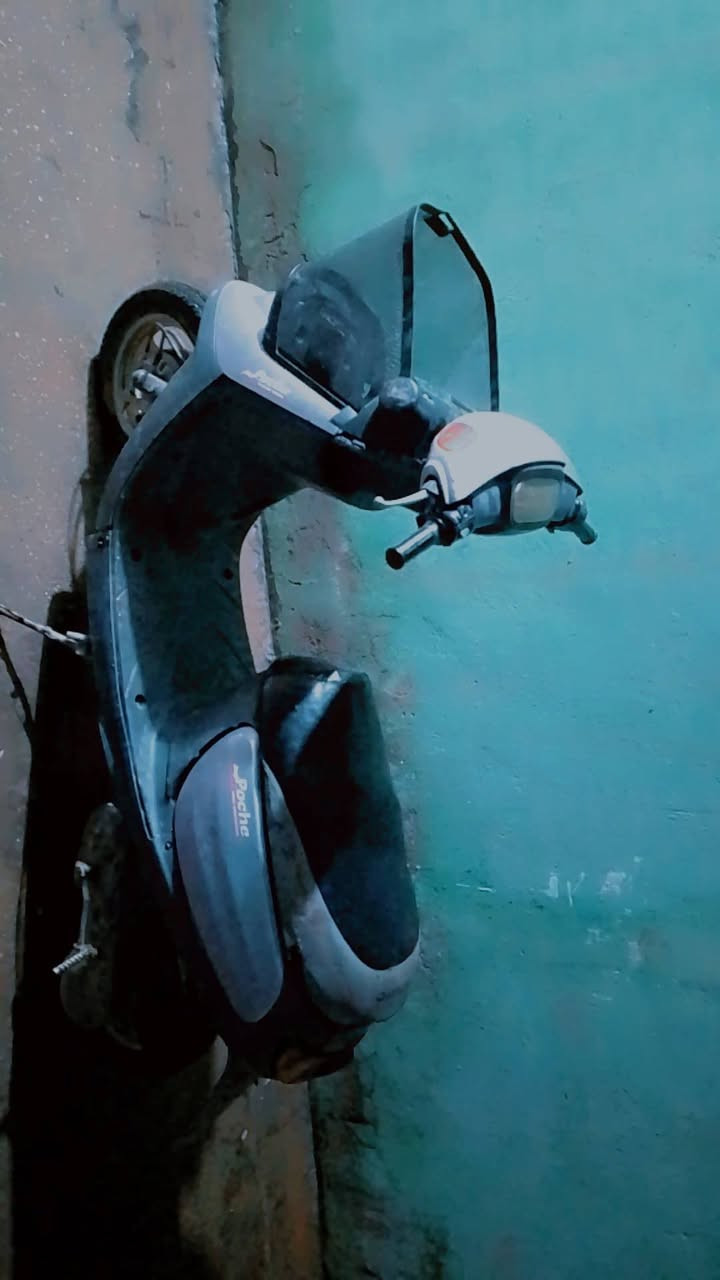 للبيع السعر 175 مكان كربلاء


**إذا كنت صاحب هذا الإعلان وتريد حذفه لأي سبب، رجاءا أرسل رسالة إلى الدعم الفني**