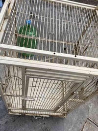 قفص حديد كبير للبلابل او للببغاء  سعر 50  عنوان بغداد مدينة الصدر للاس...