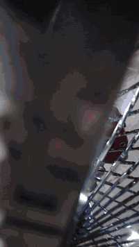 موديل ٢٥ • أوراق • بابل