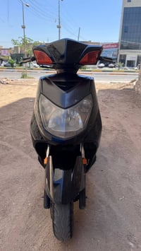 سكنس فحل • نوزل • خطين