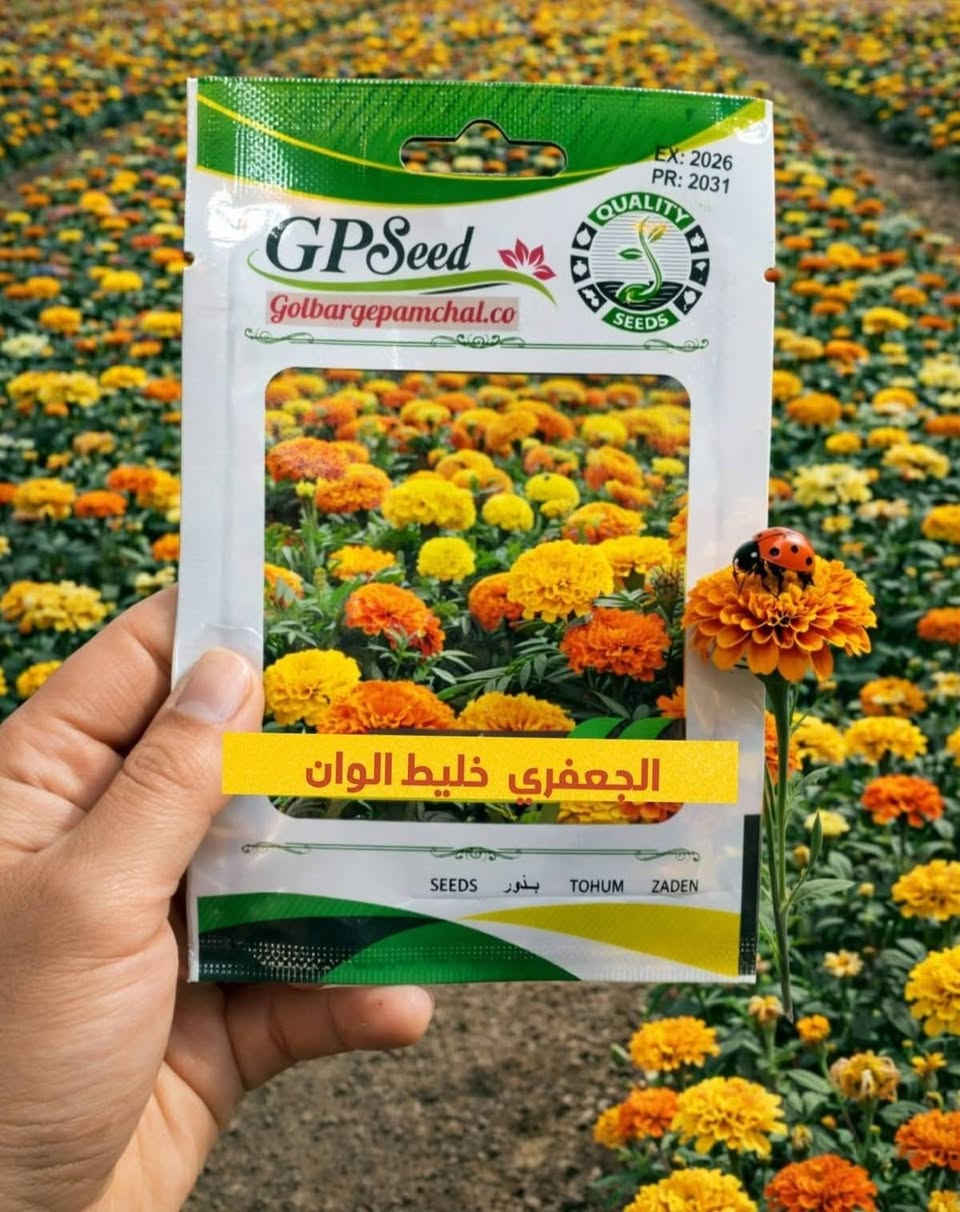 🌱💚 كل بذرة نحطها بالتربة… نحط وياها أمل جديد يكبر ويزهر.
 الزراعة مو مجرد هواية، بل أسلوب حياة يزرع الطمأنينة والراحة بكل بيت.

🌸 متوفر لدينا: في مكتب المهندس الزراعي 
– بذور زهور جميلة وزاهية تعطي لمسة فرح للحديقة
– بذور نباتات نادرة تضيف جمال استثنائي وذوق مختلف
– بذور أشجار مثمرة وزينة تنمو وتبقى لسنين طويلة

🛡️ نحرص أن نوفر لكم أجود الأصناف من بذور مختارة بعناية، ونقدمها بكل محبة وصدق.
💬 ثقتكم بينا هي أعظم مكسب، ومثل ما تعودتوا من عدنا… نوصللكم الأفضل دائمًا وبطيب خاطر.
🚚 خدمة التوصيل متوفرة إلى كل المحافظات، لأن هدفنا نوصل الجمال والخضرة لكل بيت عراقي
للأستفسار الاتصال :
***********
