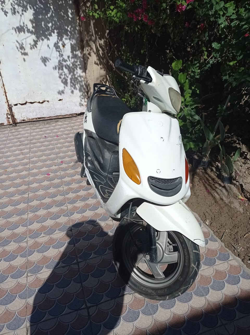 دراجه دولفين للبيع الدراجه مفتوحه تجفيت مره وحده للبيع السعر خاص مكانه السماوه


**إذا كنت صاحب هذا الإعلان وتريد حذفه لأي سبب، رجاءا أرسل رسالة إلى الدعم الفني**