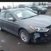 سوناتا • ٢٠١٩ • وارد امريكي