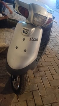 منغولي • خط واحد • كفالة