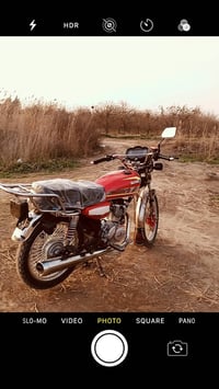 تايكر ٢٤ • كفالة عامة • الخالص