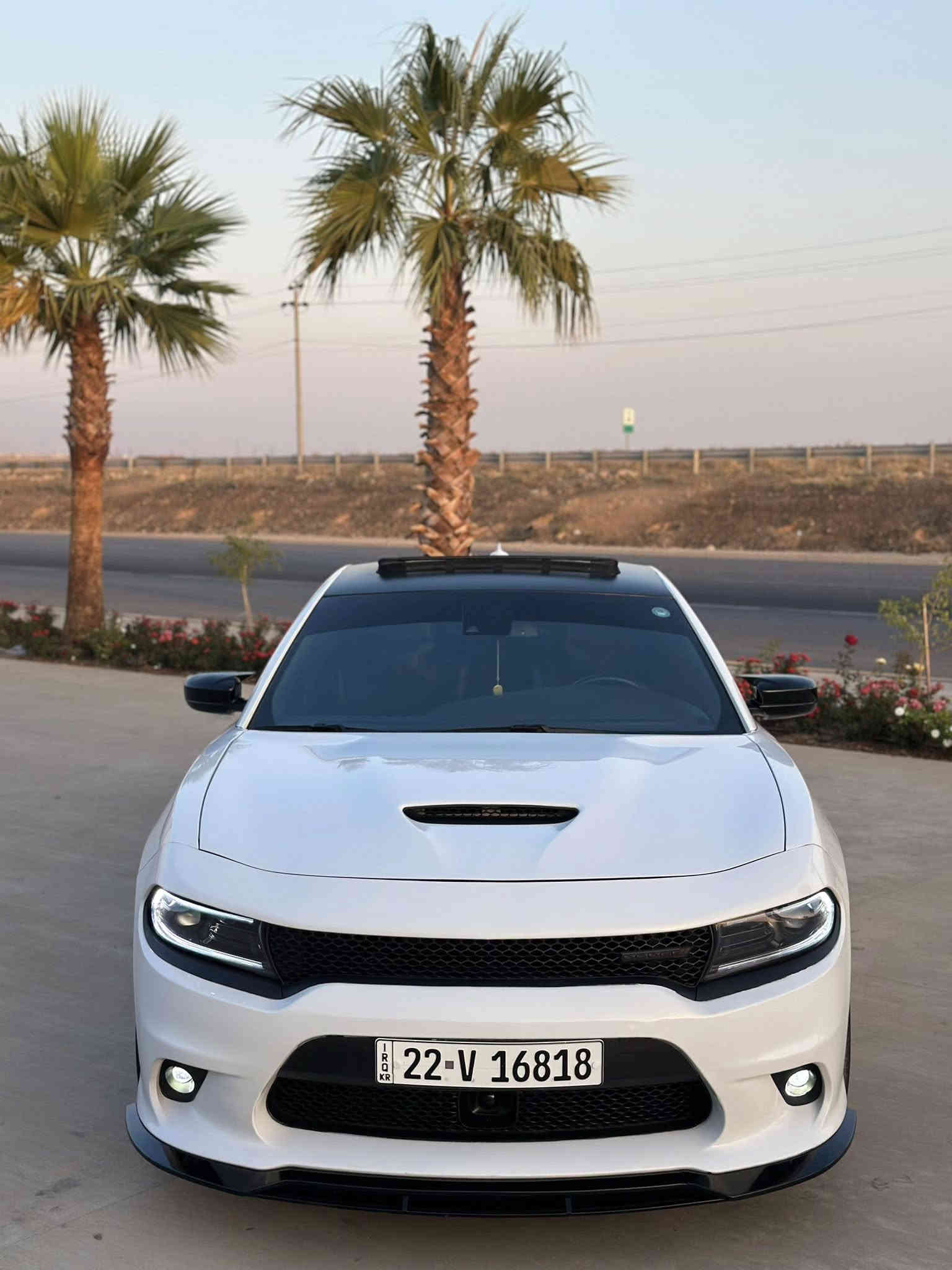 دوج جارجر 
موصفات GT بلاص فول الفول منل اخير 1/1
موديل 2023 
ماشي 24 الف مايل
سياره مرقمه جاهزه بسمنه رقم اربيل تحويل ثاني يوم 
موصفات 
فتحه صقف 
رادار جانبي 
مرايه وادار 
حساست 
ويل كروم 
كشنات شامو جلد 
كشنات حار و بارد 
كشن خزن 
ستيرن كهرباي  هيتر 
شفتات ستيرن 
شاشه كبير 
دژبول جلد 
سماعات الباين 
وموصفا بعد بيها معترفه 
حادث سياره فقت بولند صبغ بيدون قطره دواخل 
حتا لايتات بيلادي دعاميا بيلادي 
رقم شاسي موجود منشورات 
أيرباگ سيستم بيلادي 
عنوان عقرء 
السعر 335 مجال
رقمل هاتف وتساب 
***********
