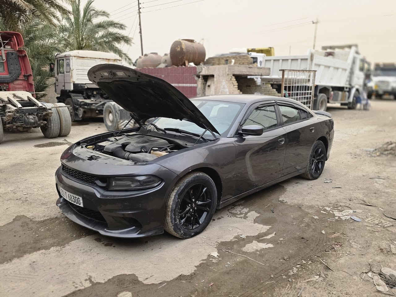 سلام عليكم ورحمة الله
جارجر SXT2016 للبيع مواصفات ال sxt معروفه
حادث جاملغ وباب صفحه السايق صبغ 
رقم بغداد مشروع وطني بسمي 
كير مكينه مكفولات 
سونار  مرفق
مكاني بغداد سياحي
رقم الاستفسار مكلف بلنشر 
***********
