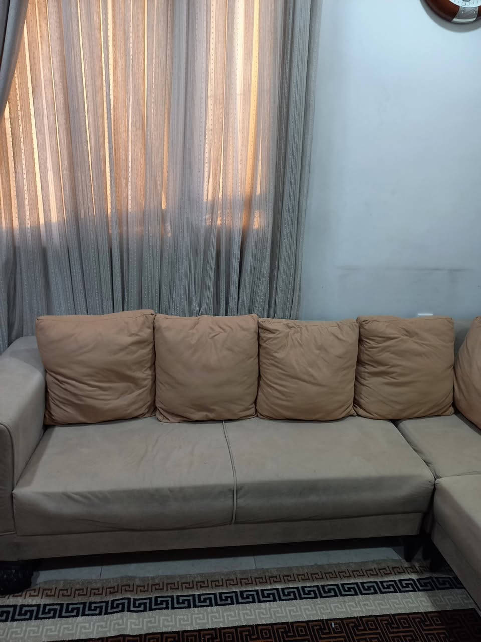 للبيع تخم قياس 2,5 × 2,5 + كرسي عدد ١
وتر بروف 

الضرر . رجل واحده مكسوره 

السعر . 150,000  وبي مجال 

العنوان . بغداد . حي اور 
***********
