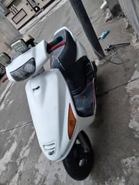 فراشة • شغال • دراجة نارية