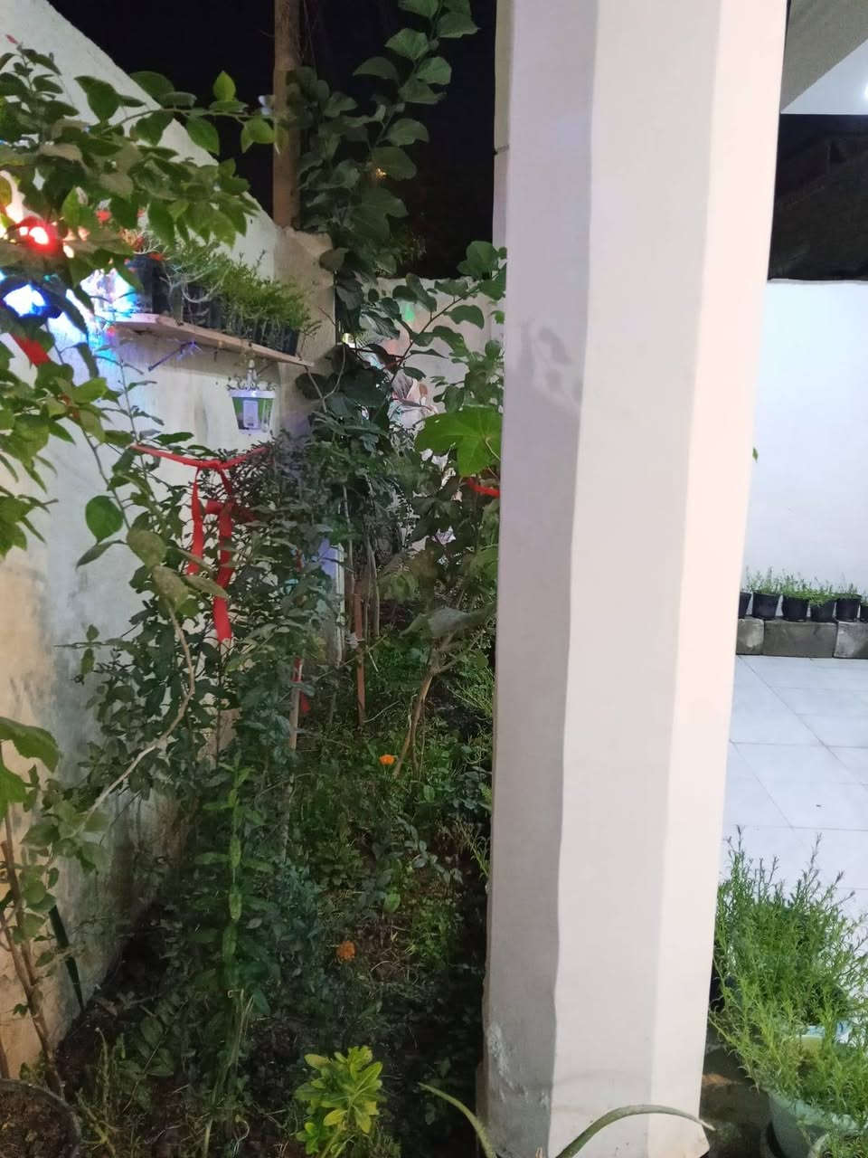 #اعـــــلان(144).

- بيت طابقين للبيع.
- الموقع الجبيلة.
- عرض الشارع 10 م.
- المساحة 150 متر.
- الواجهة 12 متر.

- الطابق الارضي. 

- غرفة منام. 
- صالة استقبال. 
- مطبخ صحيات. 

- الطابق الأول. 

- 3 غرف منام.
- غرفة صغيرة.
- صحيات. 

- السعر 325 مليون.

#شركة_دينار_العقارية.
ـــــــــــــــــــــــــــــــــــــــ
*********** 
*********** 

#عنوان_الشركة:- البصرة. الجنينة. حي الأندلس.. قرب اسواق بانـــــــــــــــدأ. 

#نستقبل_كافة_عروضكم_ما_عليكم_الا إرسال تفاصيل عقاركم على خدمة الواتساب(***********) .
