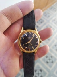 هيلبروس سوسيريه • مطليه ذهب • ١٧ حجر ياقوت