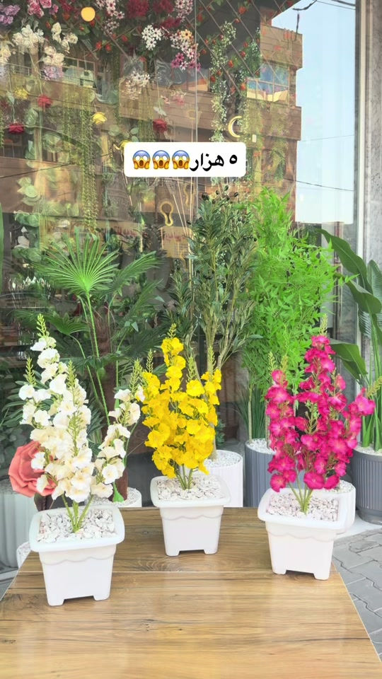 


**إذا كنت صاحب هذا الإعلان وتريد حذفه لأي سبب، رجاءا أرسل رسالة إلى الدعم الفني**