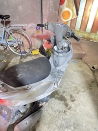 ماكس منغولي • دراجة • مكفولة