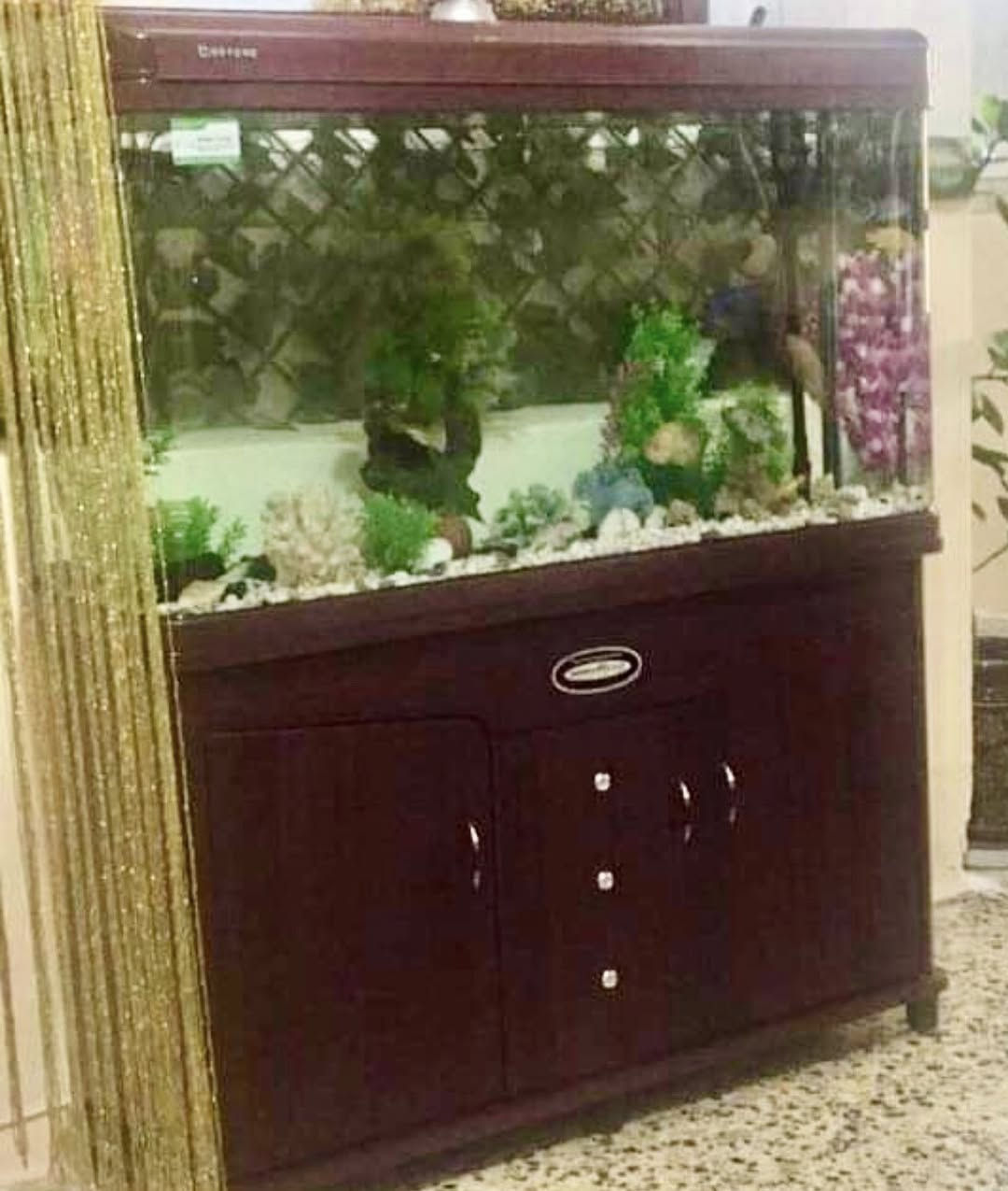 حەوزی ماسی بۆ فرۆشتن هەرزانترین نرخ لەهەموو بازاڕ ئەو وێنانە وەک  نمونەن گەر کەسێک بیەوێ بە کەپسی نوێ بەردەستە
 
قیاسیان 
١٠٥ سم 
١٢٠ سم
١٥٠ سم
 
ڕەنگیان 
ڕەش 
ڕەصاصی 
سلڤر
ساجی 
نرخیان 
١٠٥ سم ٢٠٠ $
١٢٠ سم  ٣٠٠$
١٥٠ سم  ٥٠٠$


**إذا كنت صاحب هذا الإعلان وتريد حذفه لأي سبب، رجاءا أرسل رسالة إلى الدعم الفني**