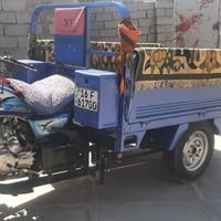 ستوته صقر • مكفولة • الديوانية