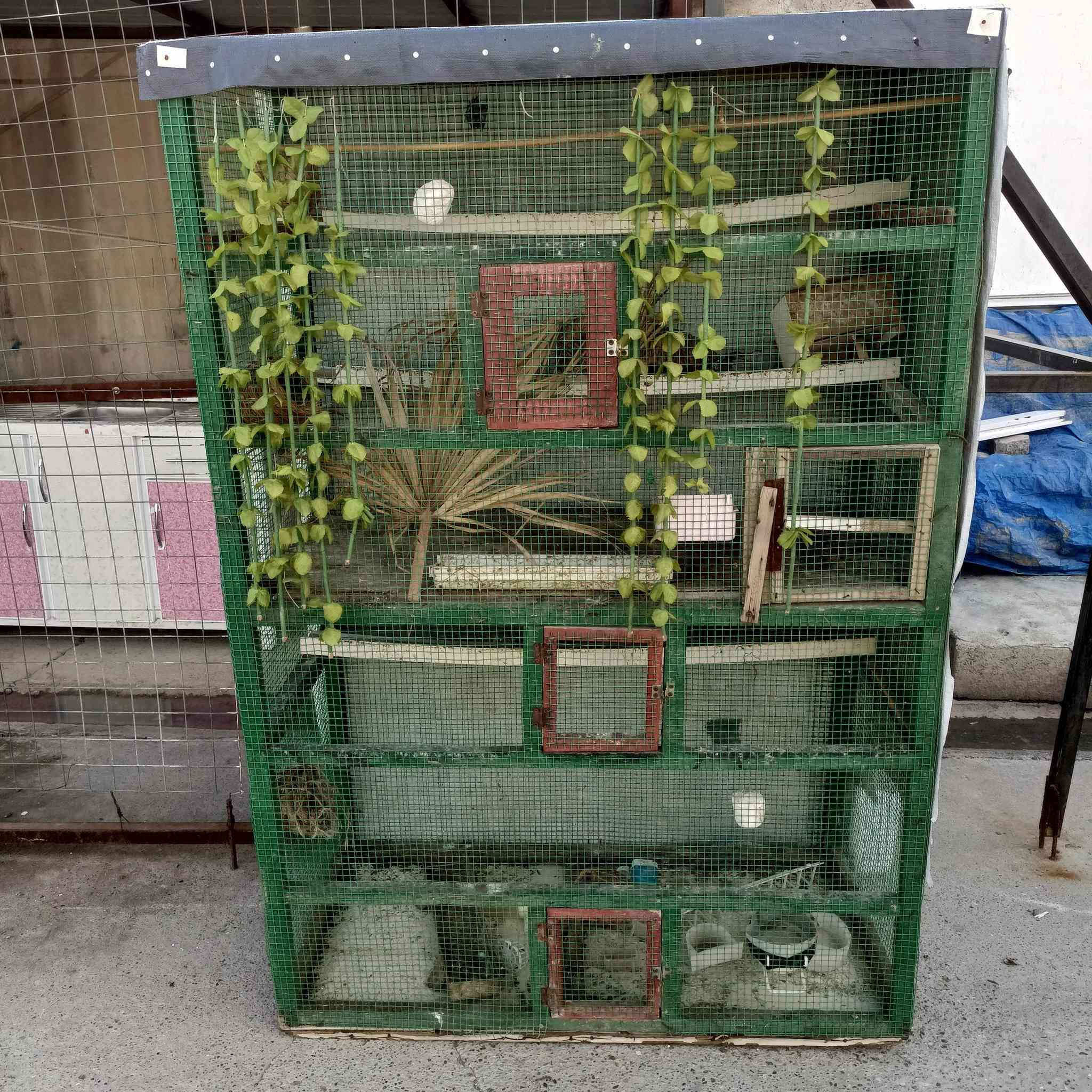 قفص 3 خانات ارتفاع 175 سانتيم العرض 120 سانتيم السعر 35 المكان كركوك حي العروبه  الاستفسار على هذا الرقم ***********
