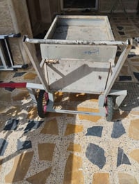 عريانه