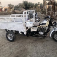 سوق الشيوخ • ٢٠١٦ • مكفولة