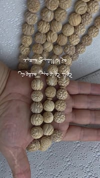 كوك كلومبي • متاح • السعودية