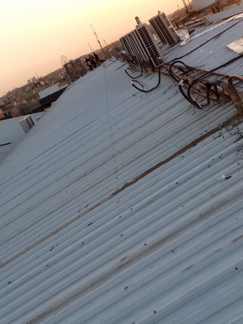(بسم الله الرحمن الرحيم)
تنوي‼️اشتري فقط 

اشتري كافت انواع سندويج مستعمل 

( جملونات/حقول دواجل/مخازن / 

بنايات/سندويج

/ /سندويج منازل) 

يوجد الدينه كادر التفصيخ كافت انوع سندويج 

مكاني بغداد🇮🇶 مدينه الصدر 

رقمي: ***********

ملاحضه: يتم ارد فقط على رقم او واتساب....

@الجميع
