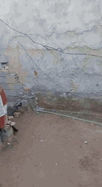 الحر الصغير • ١٠٠م • سند ٢٥