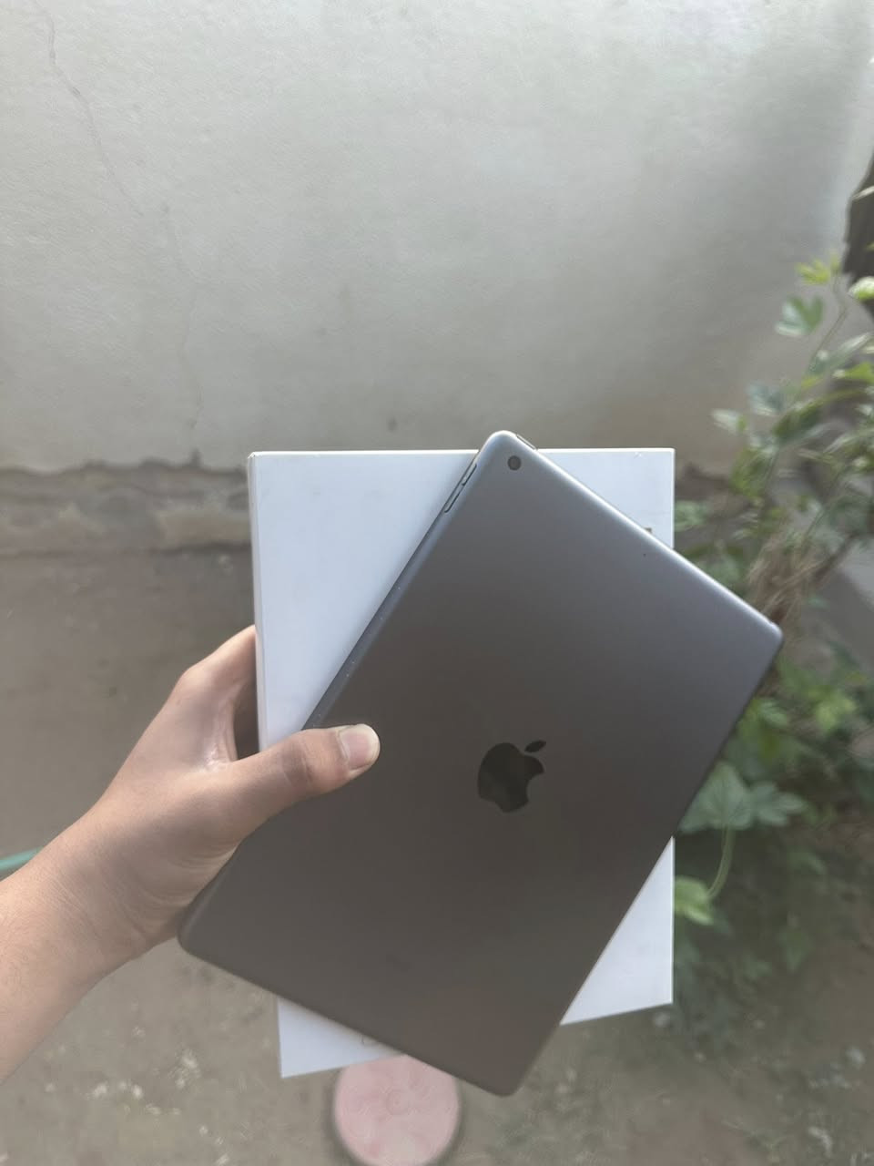 سلام عليكم  ايبـاد 9 متسخدم قليل جيل 9 نضافه 95 ذاكره ٦٤. بطاريه ٩٨ كفاله جهاز من الفتح وشحن رهيب جهاي سعر 280 بيه مجال (***********)
