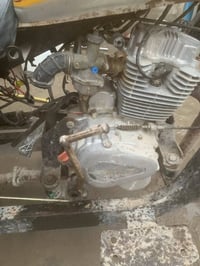 ستوته • اسود • الزبير