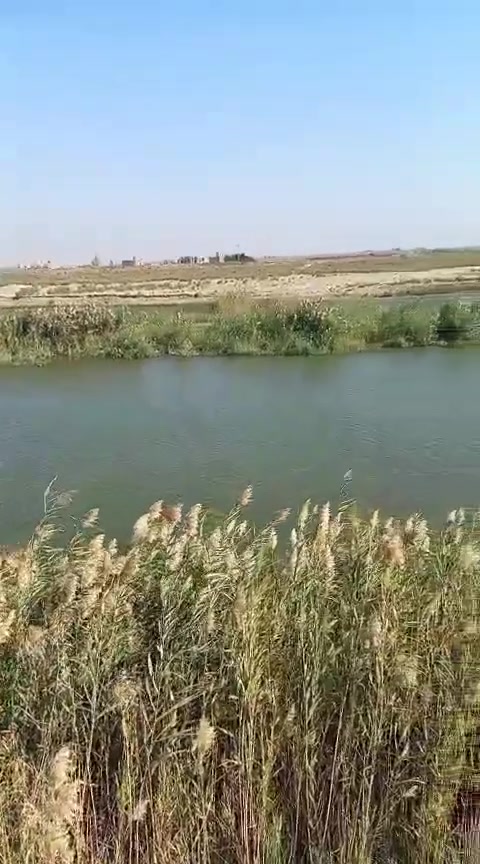 1000 دونم طابو سند 25 شاطيه على شط الفرات موجو ببهن 500 نخله مي السقي كامل موجود...  بالديوانيه  ناحية البساميه.قضاء الحمزه عادي ينباع منها (100/ 200 /300)
سعر الدونم (3) 
للاستفسار اكثر خاص ..


**إذا كنت صاحب هذا الإعلان وتريد حذفه لأي سبب، رجاءا أرسل رسالة إلى الدعم الفني**