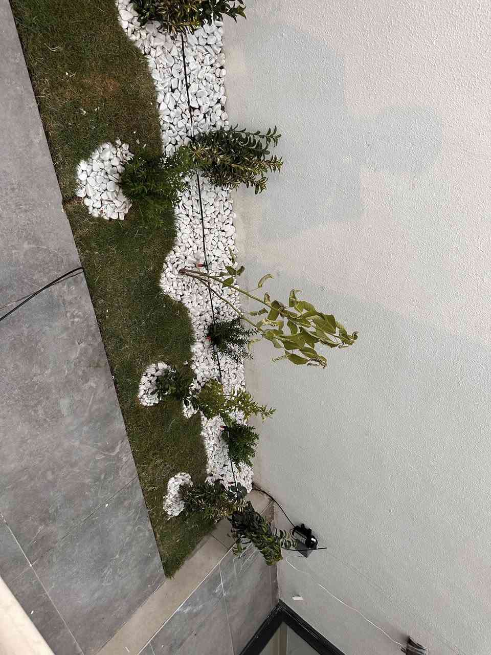 جرء من اعمال كوادرنا في مجال الديكور الخارجي للحدائق في مجمع بدور السكني***********
